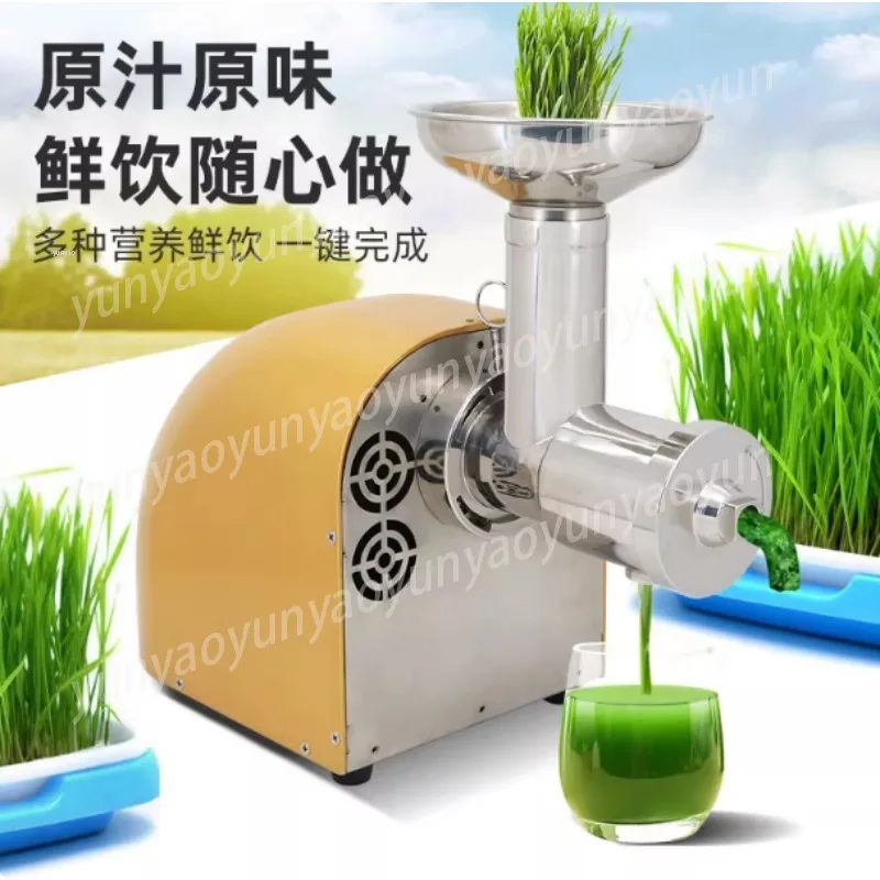 Stainless Steel Slow Masticating Juicer Commercial Household Electric Fruit Vegetable Cold Press Extraction Machine