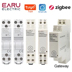 AC 110V 220V 16A Din ray WIFI Zigbee akıllı zamanlayıcı röle anahtarı Tuya APP KWH enerji güç ölçer tarafından devre kesici uzaktan kumanda