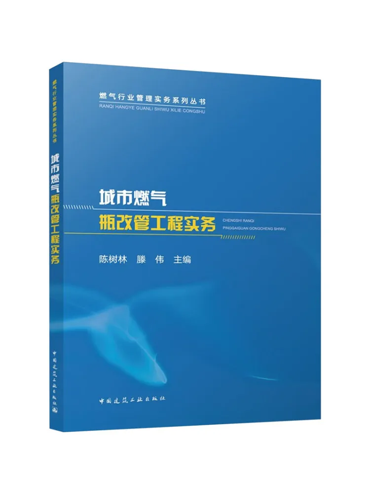 Book-Winshare Practical Guide To Urban Gas Cylinder Repiping Projects