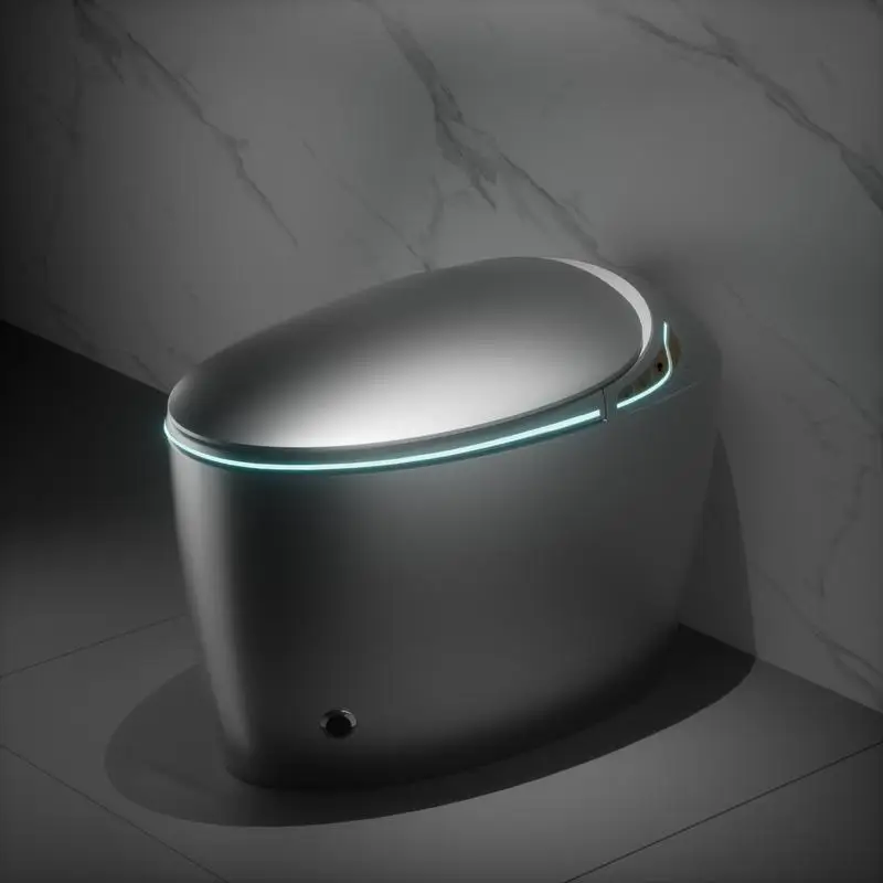 

Smart One-Piece Toilet with Built-in Bidet, Auto Open/Close Seat, Foot Sensor, LED Display, Night Light, Warm Water & Dryer,