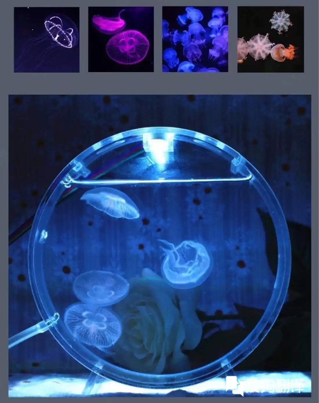 Aquarium desktop jellyfish tank starfish mini tank dream lantern bubble oxygen supply aquarium accessories 5V 1.5W