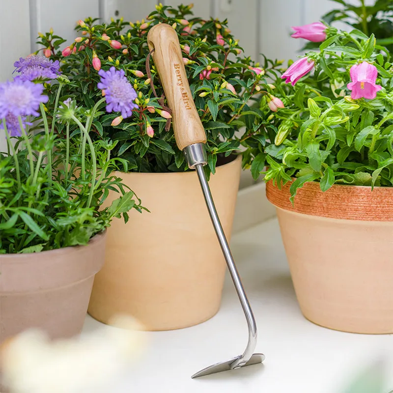 Flower Planting Tool, Hoe, Small Vegetable Planting, Digging, Loosening Soil, Weeding Rake, Stainless Steel