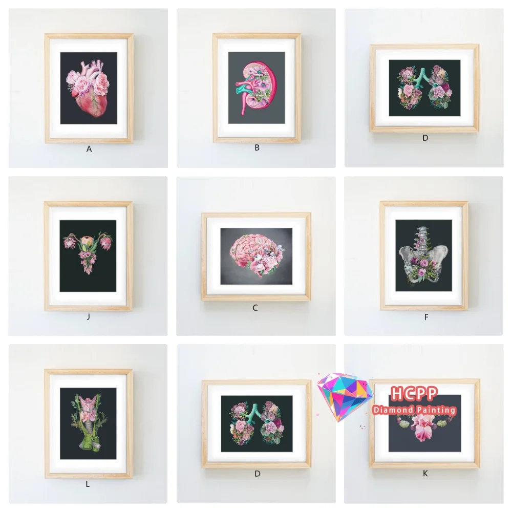 

Anatomy Art Diamond Painting Kit Square Round Diamond 5D DIY Human Organ Mosaic Handmade Art Adult Exquisite Gift Home Decor