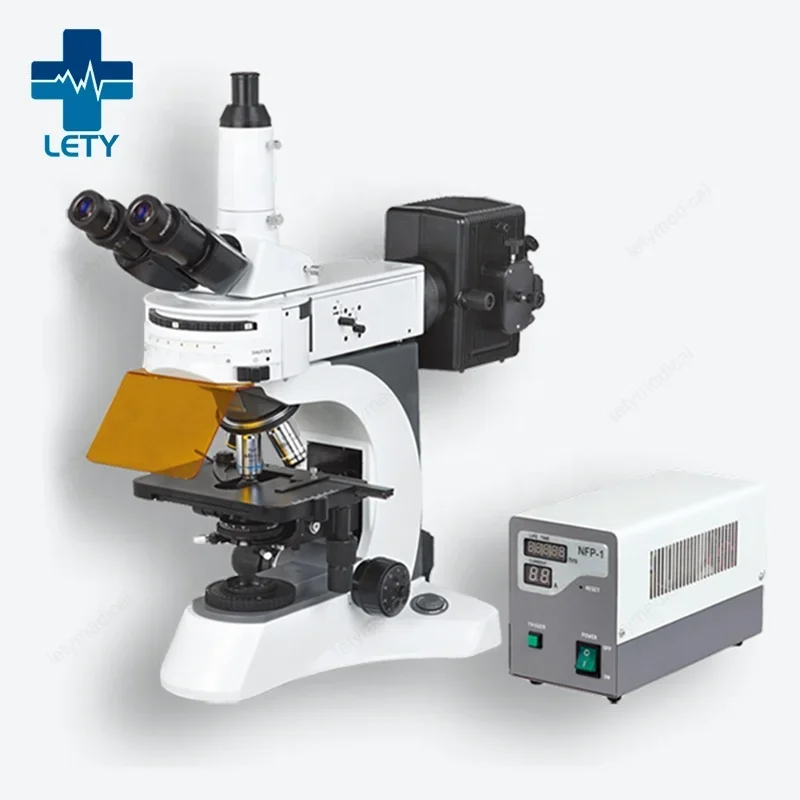 YYHC-High quality Laboratory Biological Fluorescent Microscope