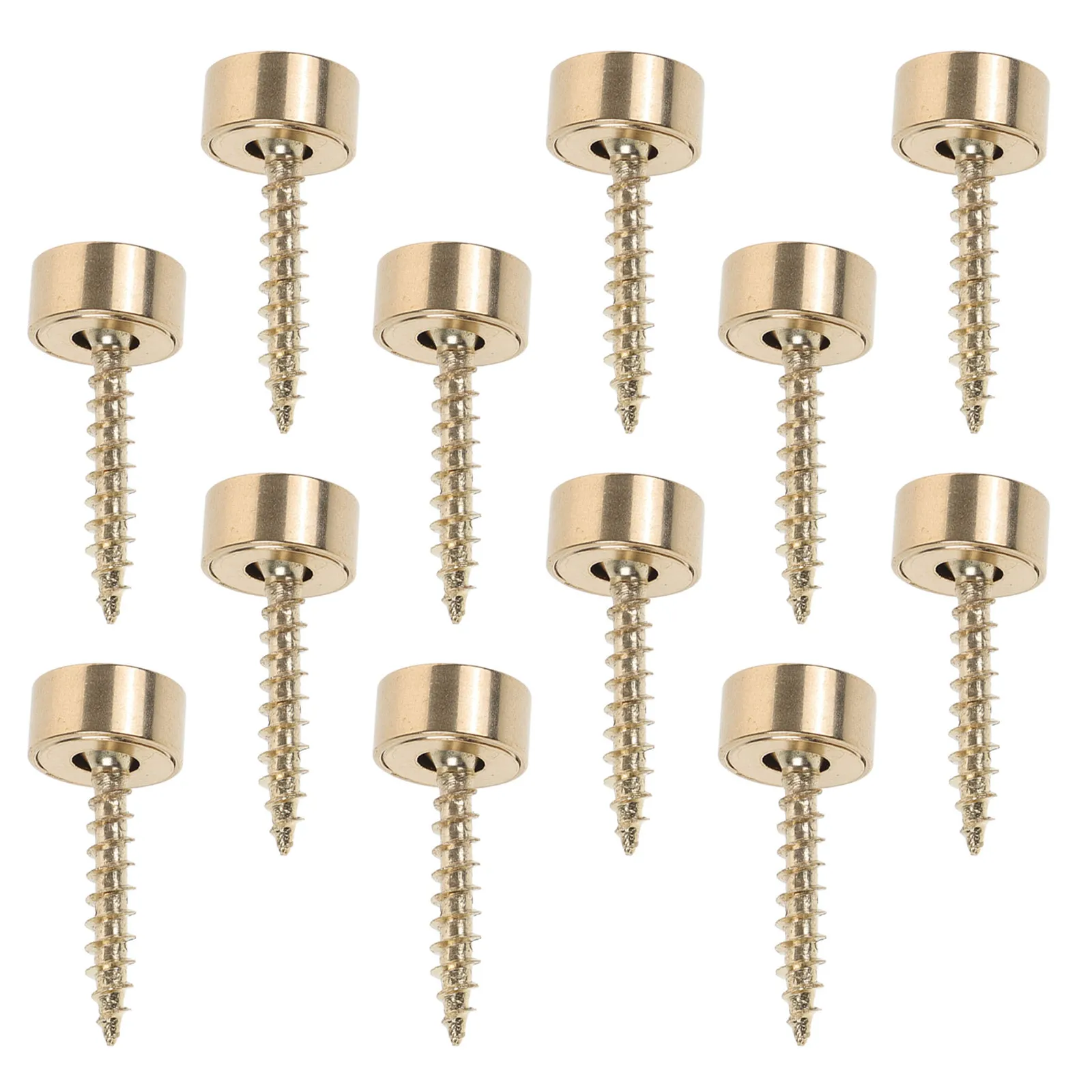 16 Pcs Screw Caps Decorative Mounting Screws Brass Covers for Plaques Threaded Mirror with Nuts
