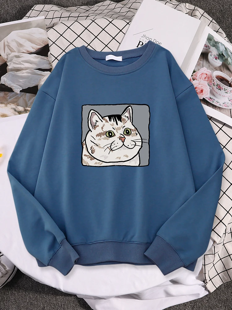 

Dazed Cat Memeprinted Women Hoodie Trend Crewneck Tracksuit Basic Comfortable Sweatshirts Basic Simple Warm Female Sportswear