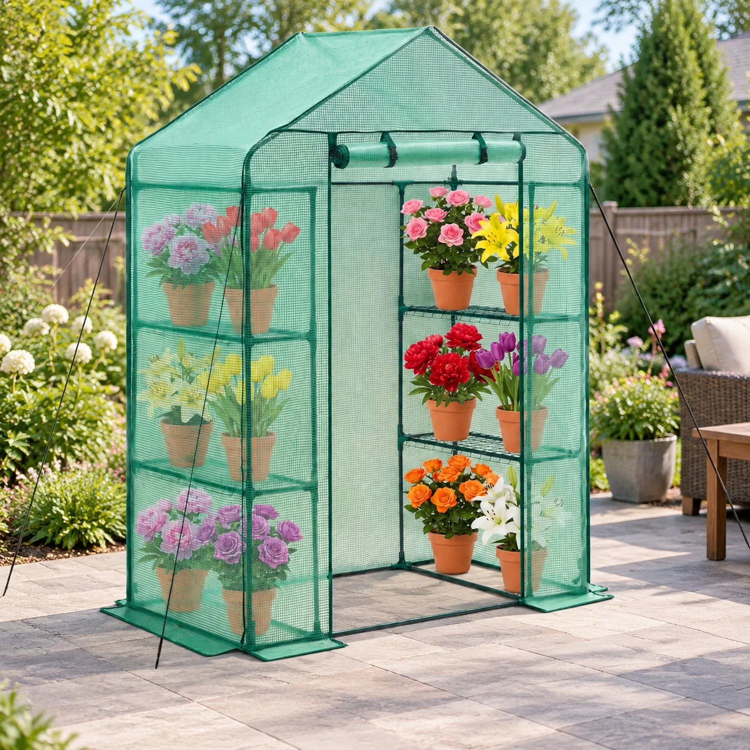 Walk-in Greenhouse, 55.5
