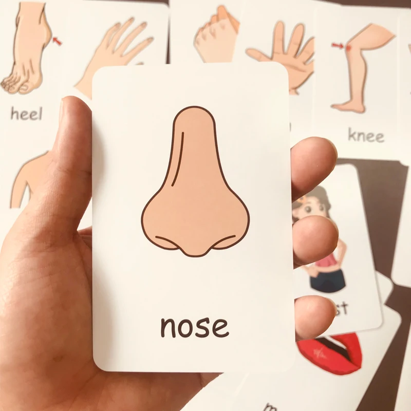 36Pcs 어린이 인식 카드 모양 동물 색상 교육 아기 영어 학습 단어 카드 교육 장난감 그림 패턴 가족 선물