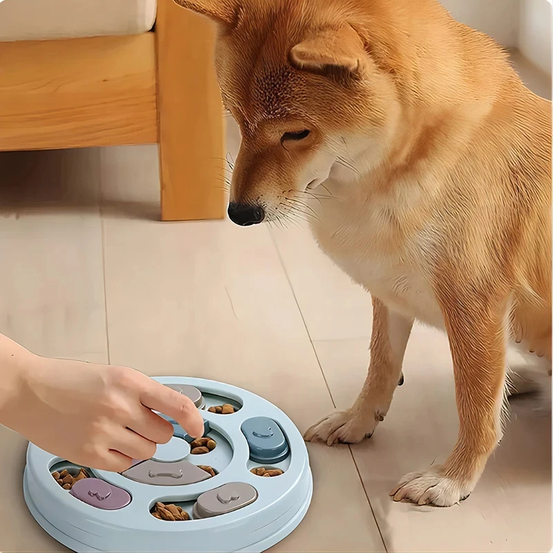 Dog Puzzle Toys Slow Feeder Interactive Increase Puppy IQ Food Dispenser Slowly Eating NonSlip Bowl Pet Cat Dogs Training Game