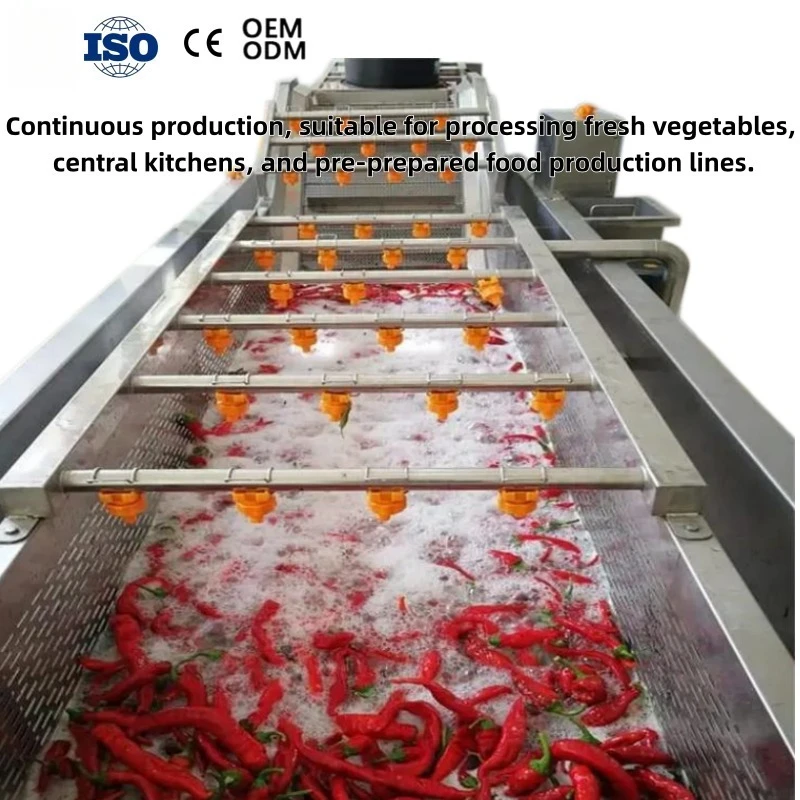 Industrial SUS304 Bubble Washing Machine for Fruit and Vegetable Cleaning with CE Certificate