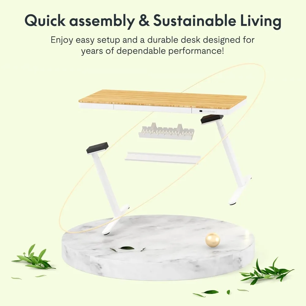 Adjustable Height Bamboo Electric Standing Desk with Dual Motor, 3 Stages, Wireless Charging, Ergonomic Computer Workstation