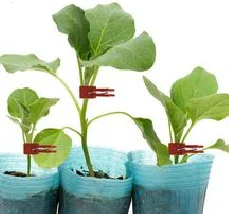 Grafting Clips For Tomatoes Pack Of 50 Tomato Seedling Grafting Clip Falt Mouth Hooks Connecting Gardening Tool