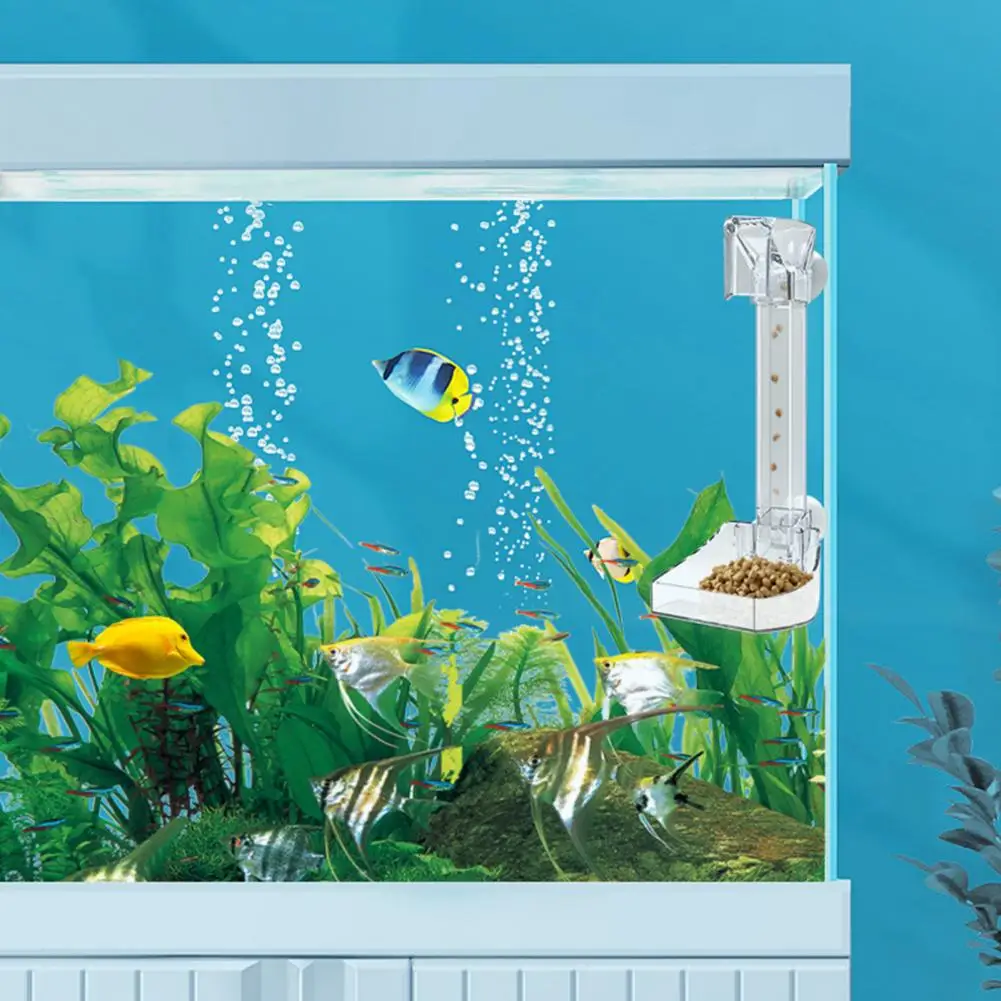 Fish Tank Feeding Tube Long Lasting Suction Cup Fish Feeder Fixed Point Feeding Clear Visible Aquarium Fish Shrimp Food Feeder