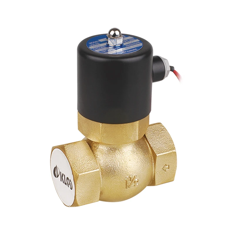 2/2 Way US Series US-40 AC 220V Pilot Operated Water Steam Iron Solenoid Valve