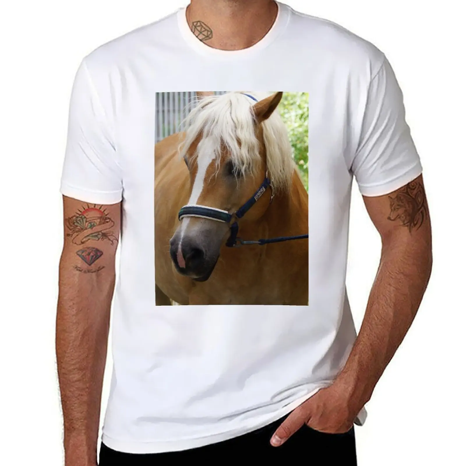 

Haflinger T-Shirt man t shirts for men anime tshirt T-Shirt