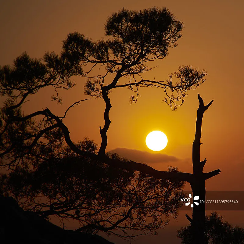 

Комплект обновления воздушного блока SpeedyBee Bee25 O3/O4 PRO — повышенная совместимость и эффективность