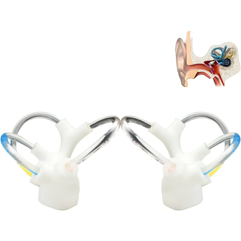 Half Canal Otolith Dynamic Model Aids Skeleton Cochlea Inner Ear Structure Brain Nerve Vestibular 3D Rehabilitation Accessories