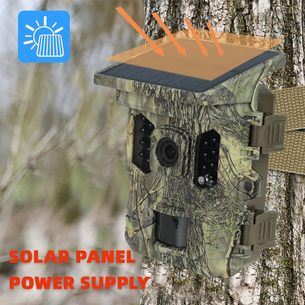 Wildlife Camera Sol…