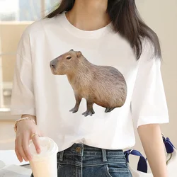 Capybara tshirt male 2022 funny casual streetwear manga clothes t shirt white t shirt graphic