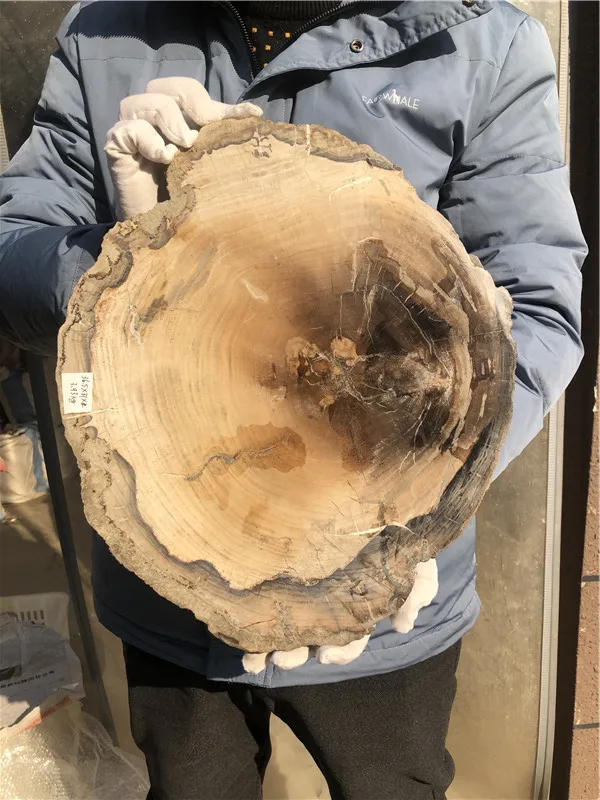 3.93kg Natural Petrified Wood Specimen Semi-precious Stone Slices Crystals Healing Stones for Home Decor