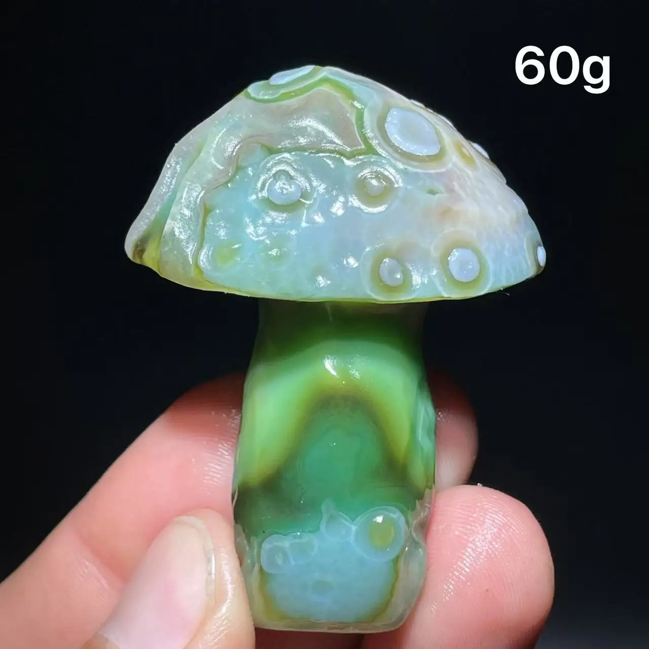 Natural  Agate mushroom Alxa Gobi Eye Mineral Specimen Energy Crystal Chakra Reiki Healing Stone Garden Decor
