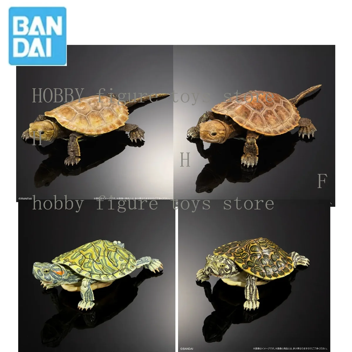 Bandai Original Gashapon Biological Atlas Anime Figur Turtle 02 Bewegliche Schildkröte Anime Actionfiguren für Hobby Kinder Modell Geschenke