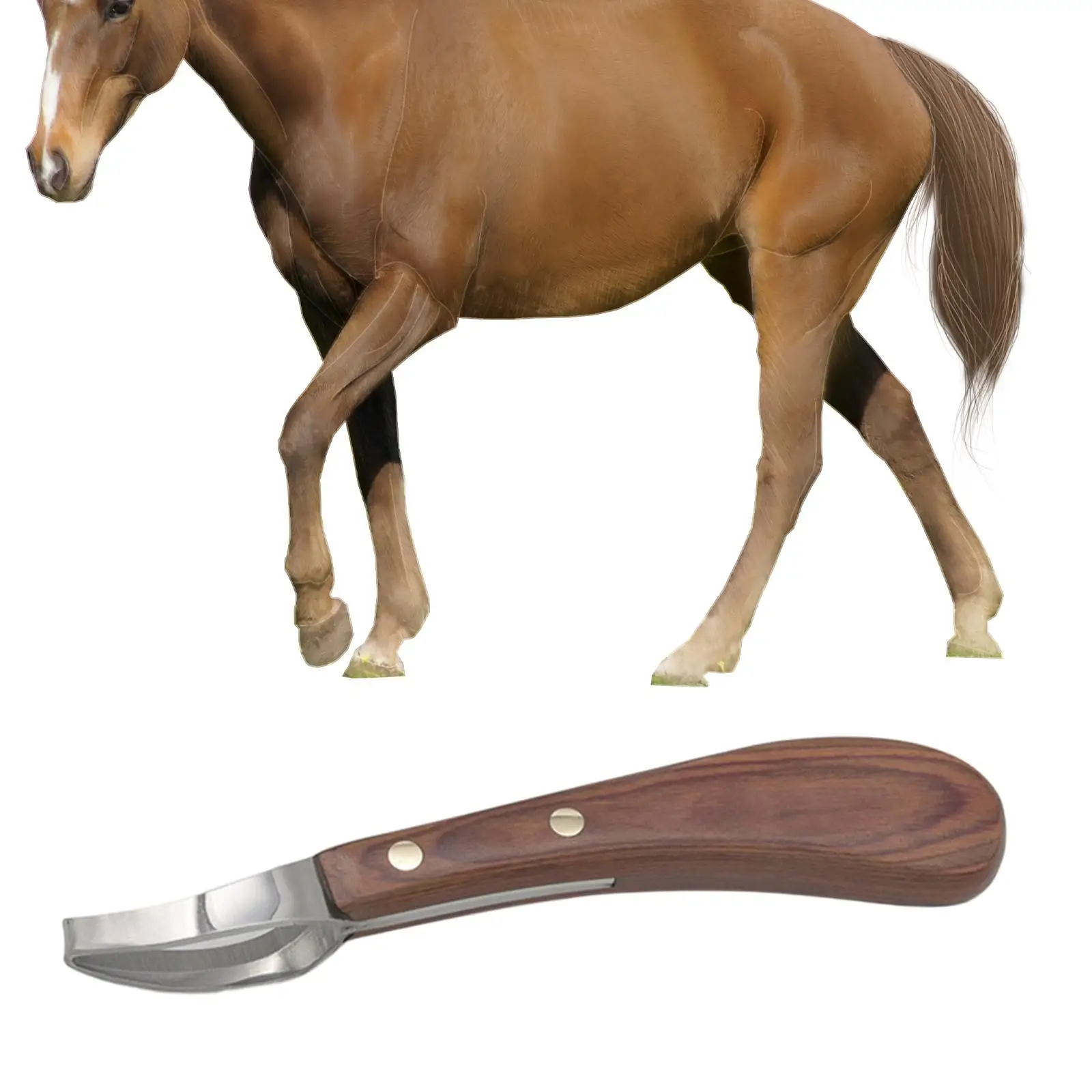horse-hoof-knife-left-right-handed-hoof-trimmer-farrier-tools-hoof-repair-tools-for-livestock-goats-cattle-farm-animal-supplies