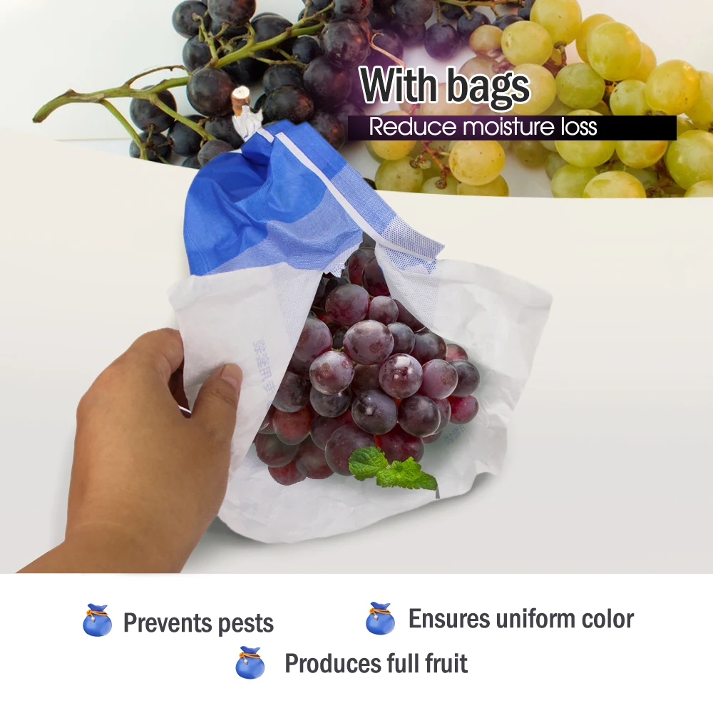 Orchard Grape Protection Bags Tricolor Paper Anti-Pird Pest Control for Fruits Cultivating Grow Protect Cover Wodoodporne woreczki