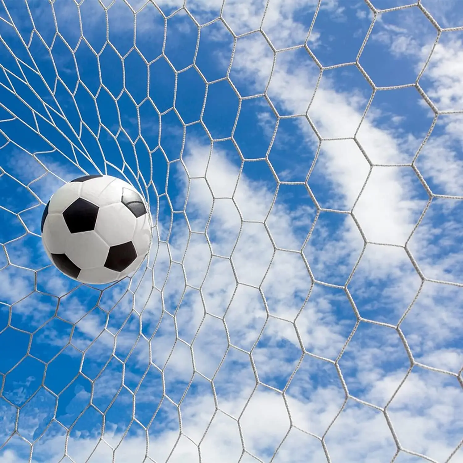 

Hexagonal Football Net Soccer One Piece Football goal Net Football Garden Net for Training and Playing