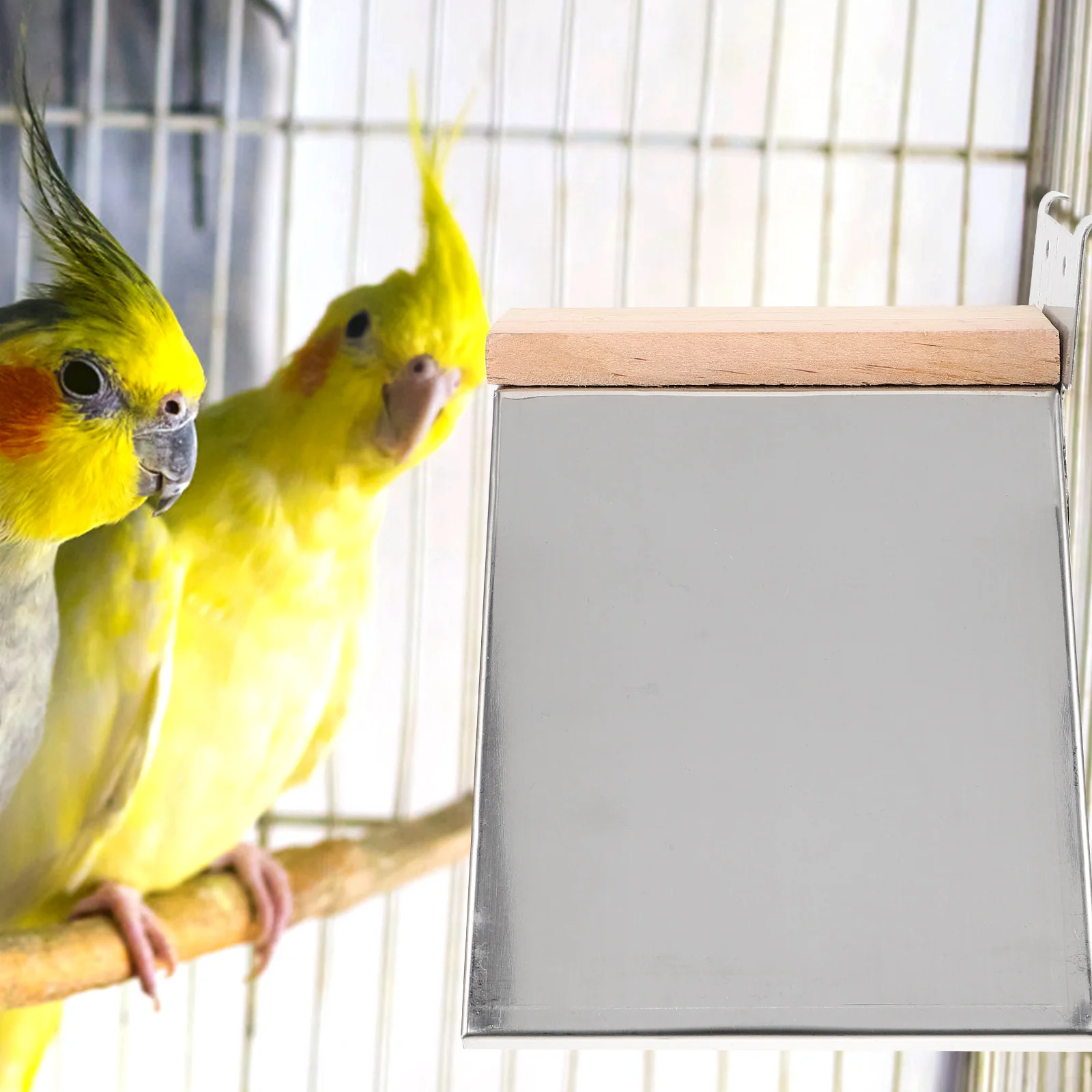 

2pcs Pigeon Rest Rack Bird Perch Sturdy Iron Wood Durable Long-Lasting Smooth Surface Safe for Macaw Parrot Bird Cage