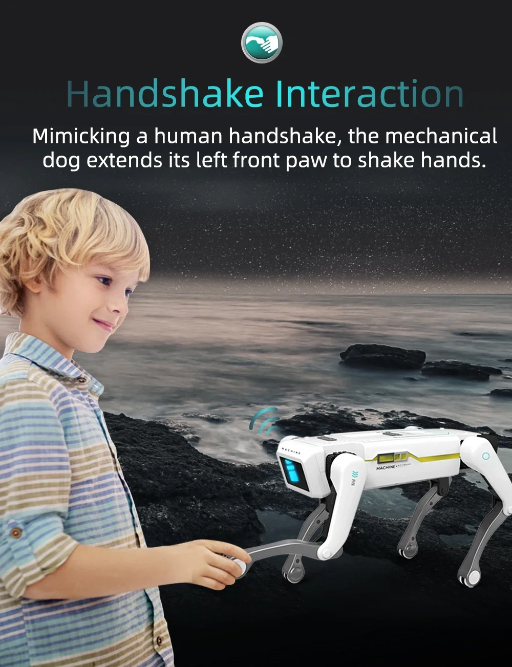 Télécommande du chien robot