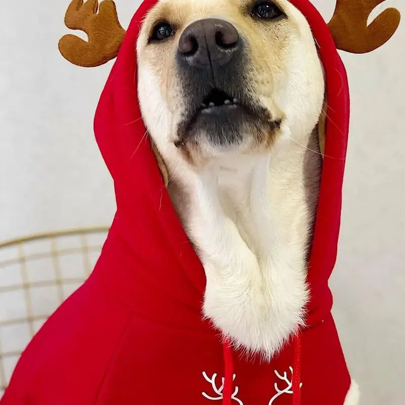 Traje de cachorro para cães grandes, moletom quente para animais de estimação, moda cachorro, natal, moletom com capuz, roupas para animais de estimação, lindo outono inverno