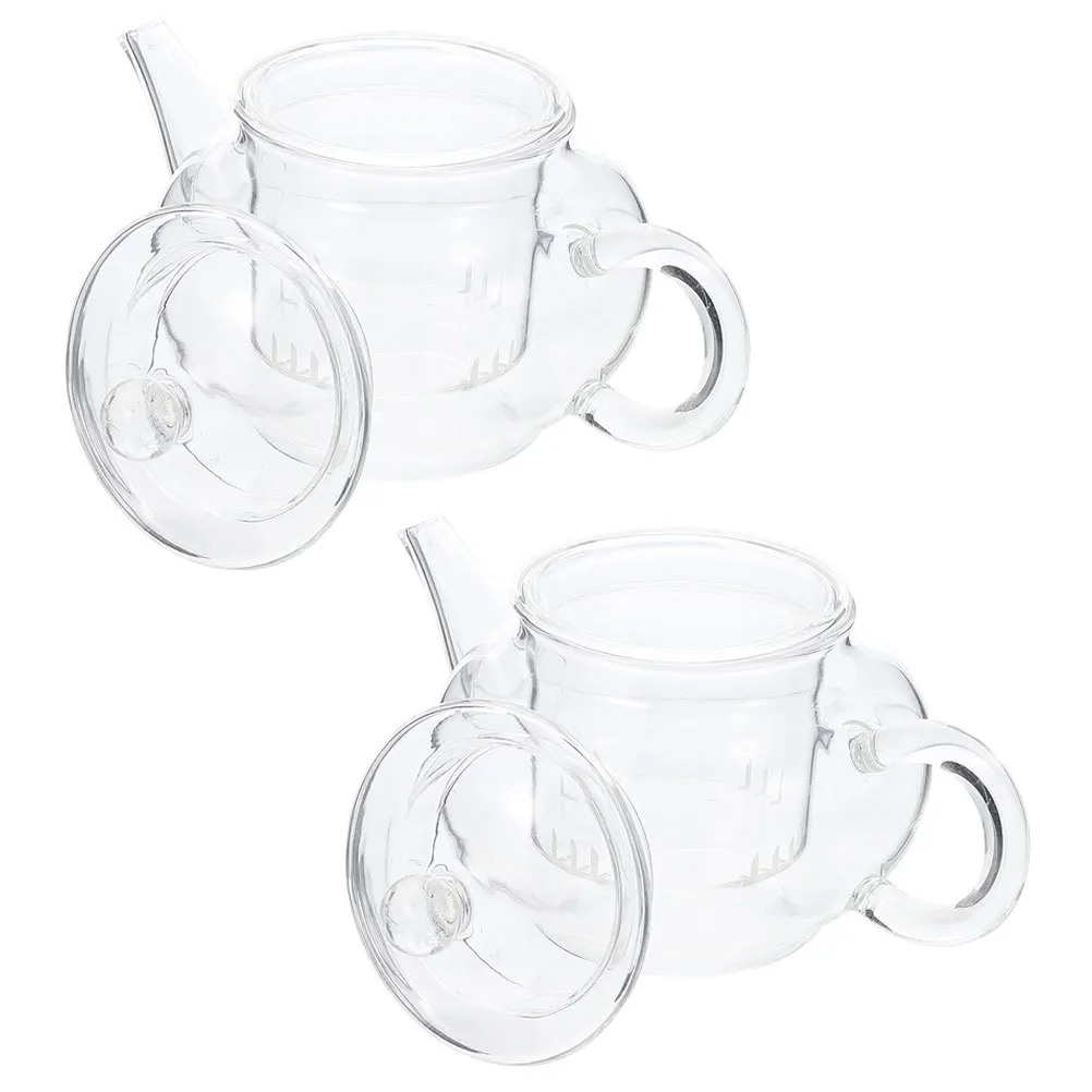 

2Pcs Thickened Glass Tea Kettle Handheld Heat Resistant Sturdy Clear Infuser Teapot for Home Office Loose Leaf Tea Brewing