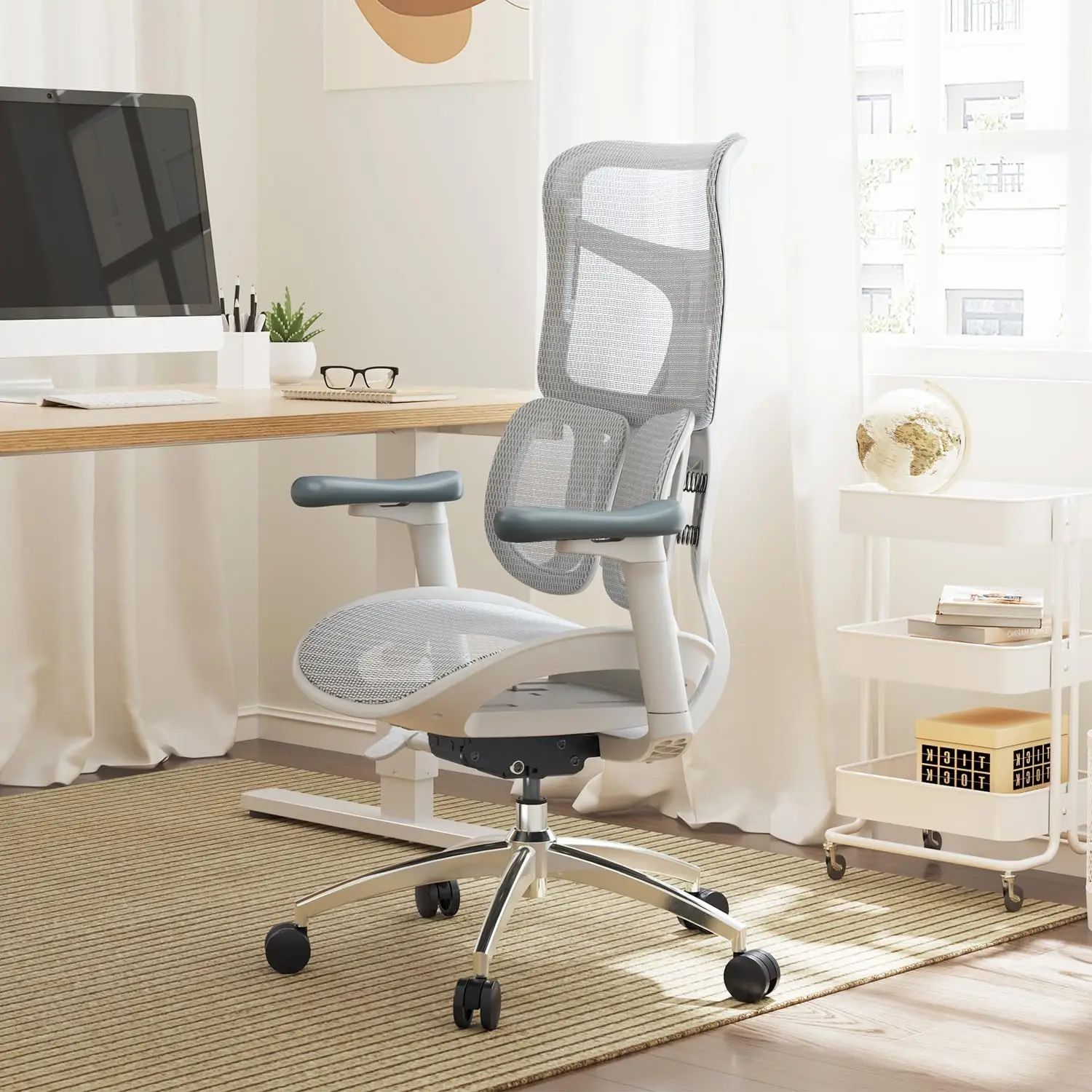 Sihoo Doro S100 Ergonomic Office Chair - With Dual Dynamic Lumbar Support, 5-Level Adjustable Backrest, 4D Coordinated