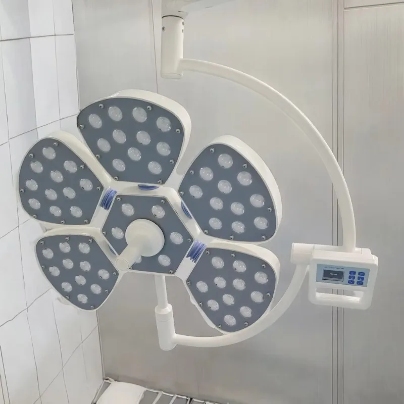 Surgical Shadowless Lamp with Luminous Round Head, Wall-mounted Ceiling Type, Hospital Dental Shadowless Lamp