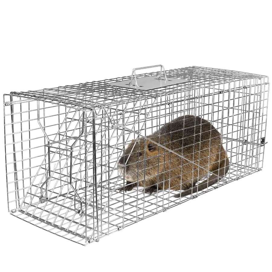 

Humane Cat Trap Cage Collapsible Galvanized Wire for Raccoons Beavers Groundhogs Foxes Armadillos