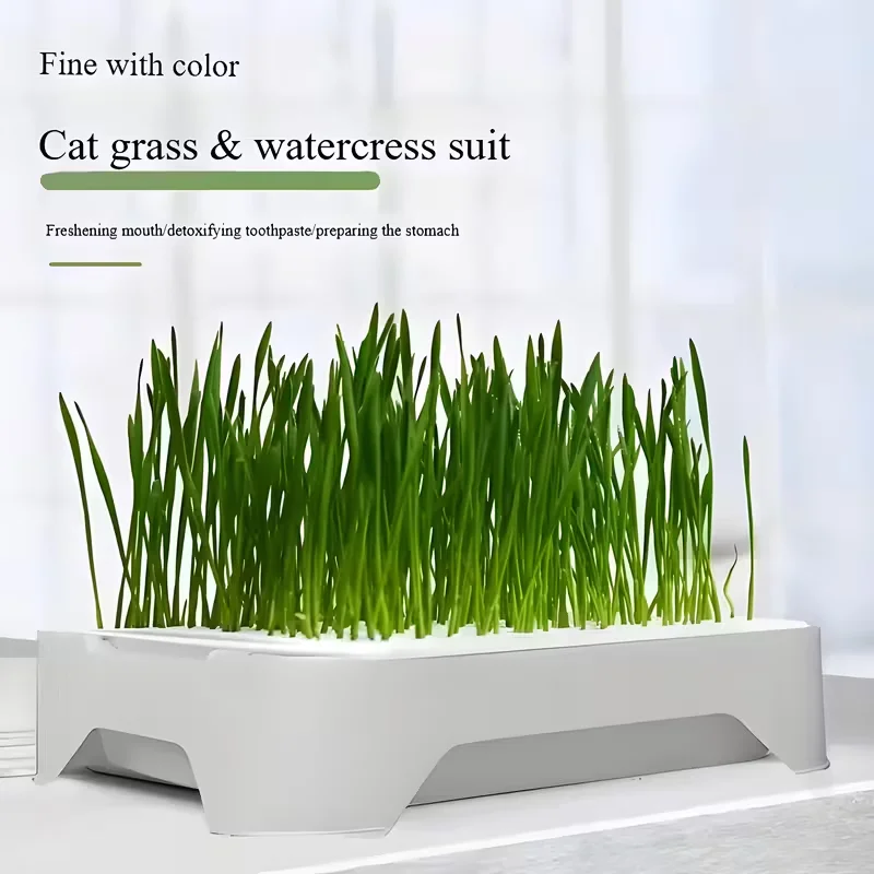 Hydroponic Germination Tray Cat Grass Planting Pot Soilless Culture Wheat Seedling Horticultural Planting Pot Nursery Device