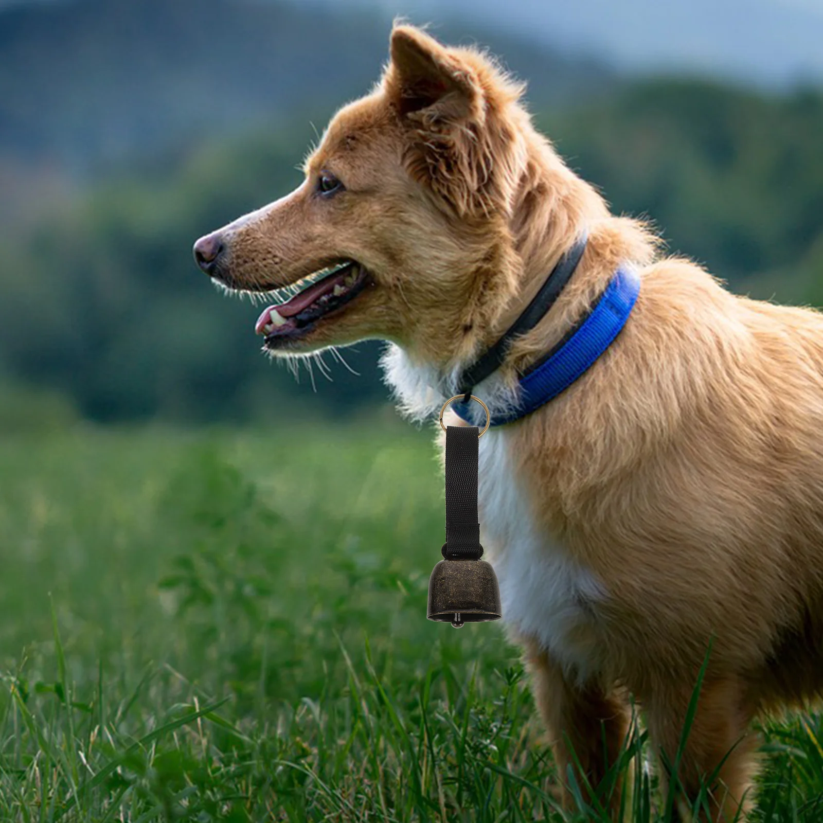 2 Buah Lonceng Pelacak Hewan Peliharaan, Lonceng Beruang yang Keras, Lonceng Webbing Luar Ruangan dengan Gesper, Lonceng Kecil untuk Kalung Anjing, Anti Maling, Pembuat Suara untuk Hiking