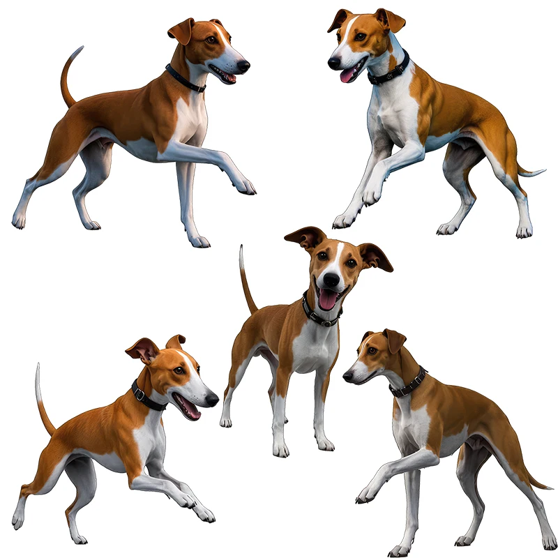 Three Ratels CG222 lovely Whibbit Dog Wall Stickers for Home Decoration Car Body decals