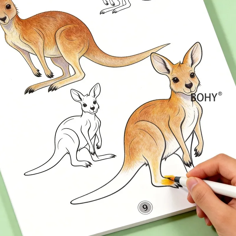 1 Animal Coloring Exercise Book, Including Themes As Lions, Rabbits, Squirrels, Sheep, Kangaroos and Other Animals, 24 Pages