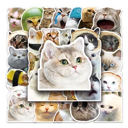 50Pcs Cat Emoji Bag Series Cartoon Cute Waterproof Sticker Skateboarding Snowboard Retro Vinyl Sticker