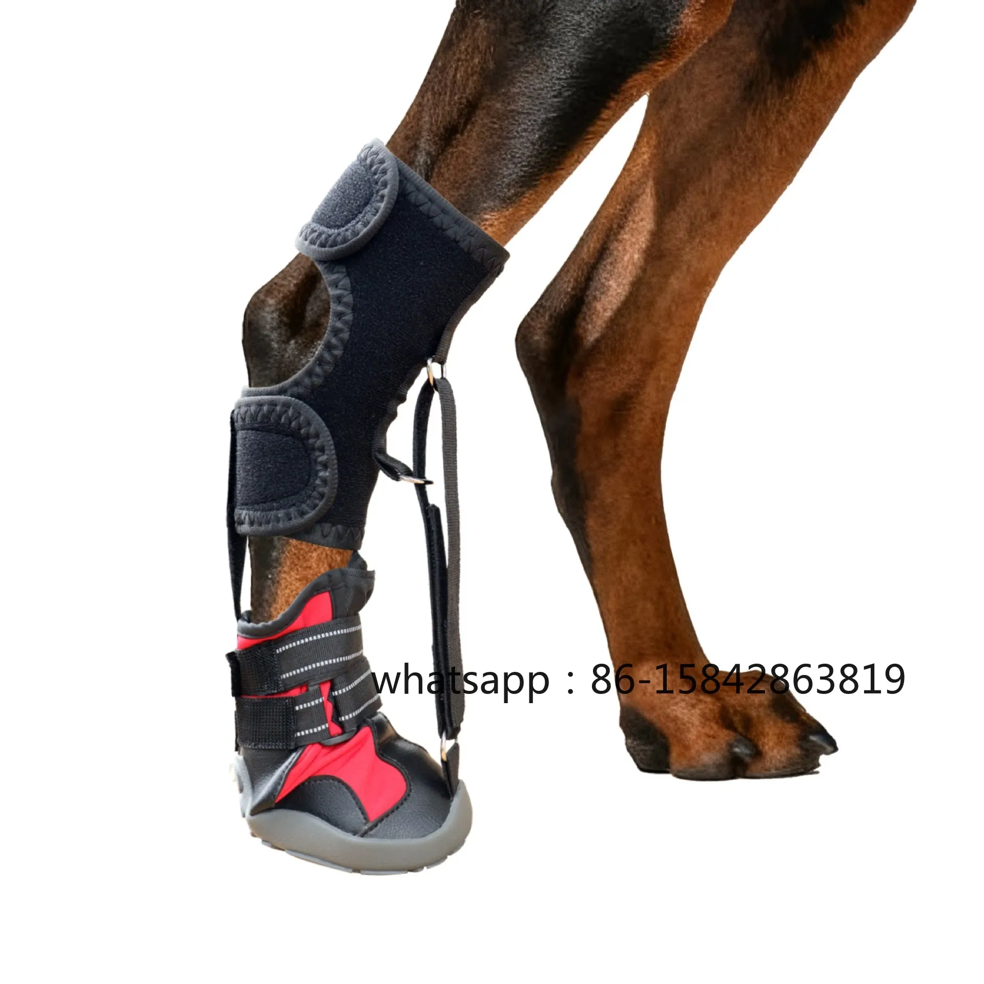 Spring and Autumn Pet Dog Shoes Are Anti Fouling and Wear-resistant Hard Soled Dog Shoes with Gold Fur Foot Protectors That Are