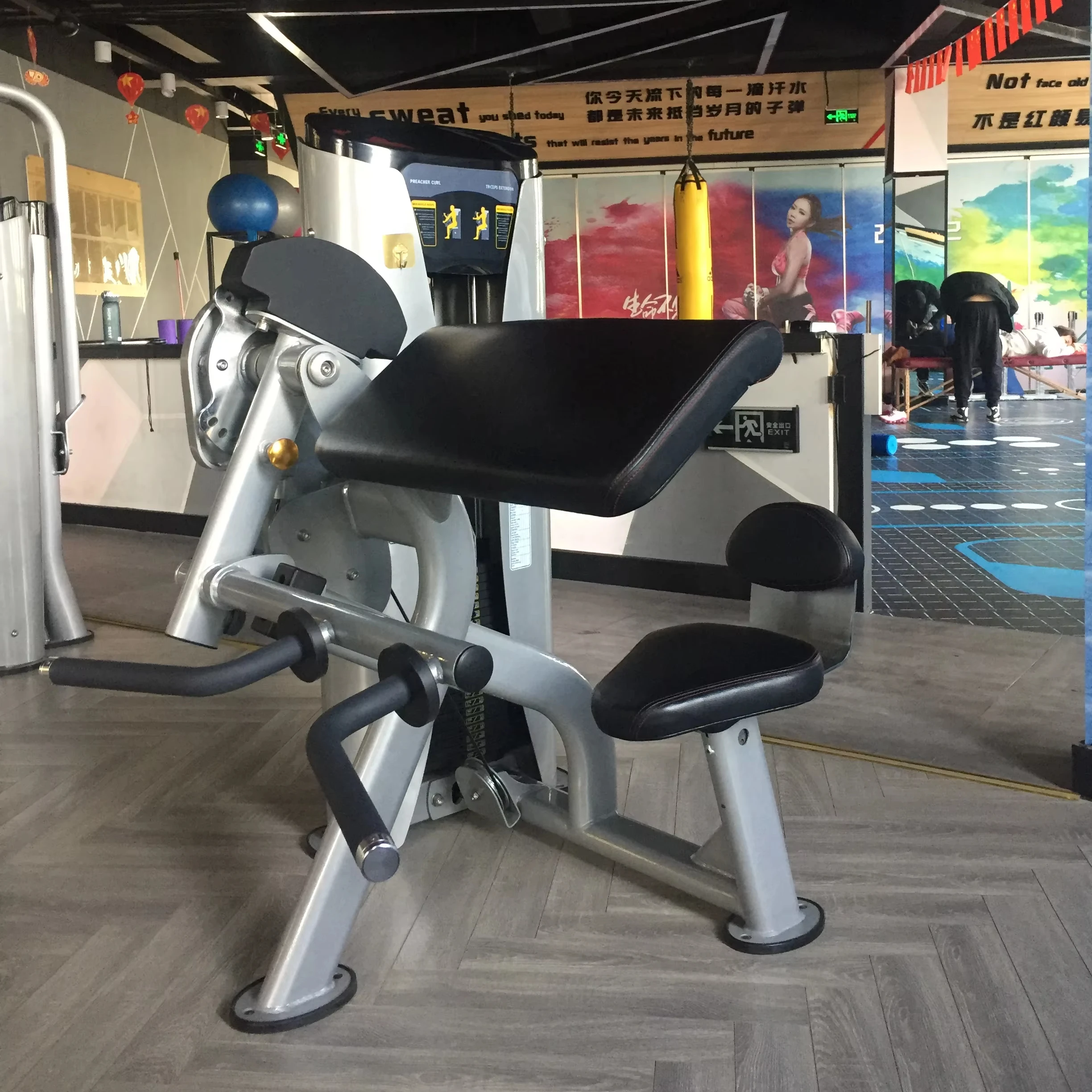 Dual-Function Gym Selectorized Machine Factory Sales Preacher Curl/Triceps Extension Pin Loaded Fitness Equipment Arm Exercise