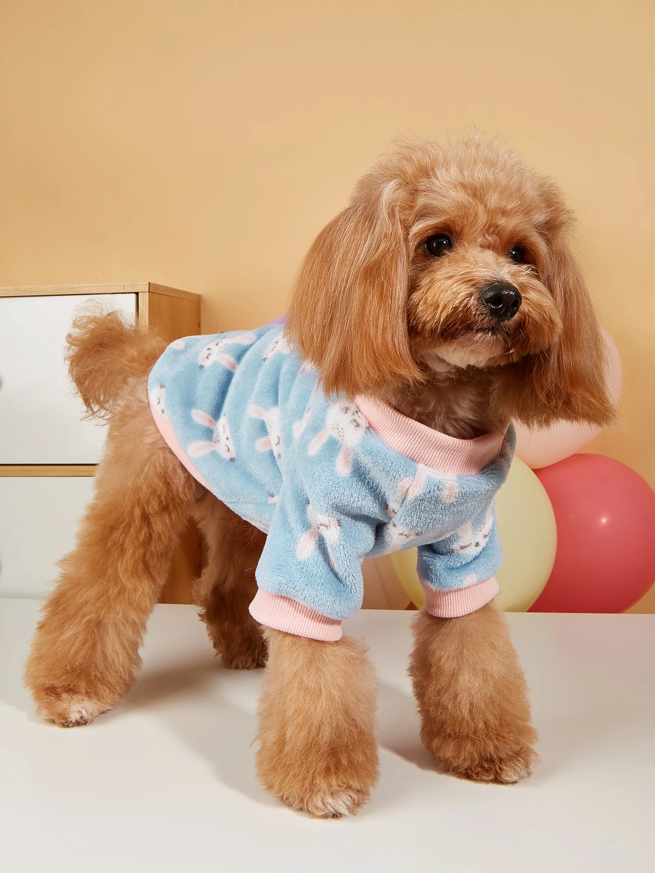 Warm Plush Dog T-Shirt for Winter Soft Fleece Lining Sweater with Cute Animal Printed  Puppy Kitten Clothes