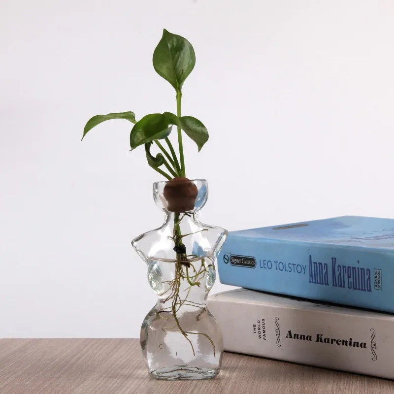 Avocado Seed Hydroponic Glass Vase Creative Human Body Shape Vase Home Desktop Decoration Home Decoration Terrarium