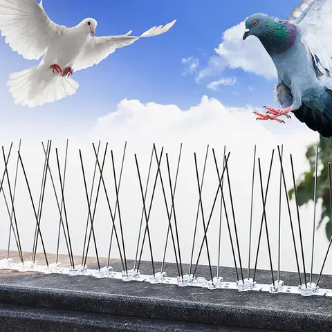 1PC 25cm 스테인레스 스틸 발코니 안티 버드 구충제 가시 네일 키트 비둘기 스파이크 및 조류 Repeller 억제 해충 방제