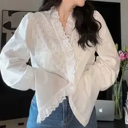 Lace Embroidered Long Sleeve Women's Shirt Loose Design High-End Feelings Autumn 2024 New Style Commute Style round Neck Button