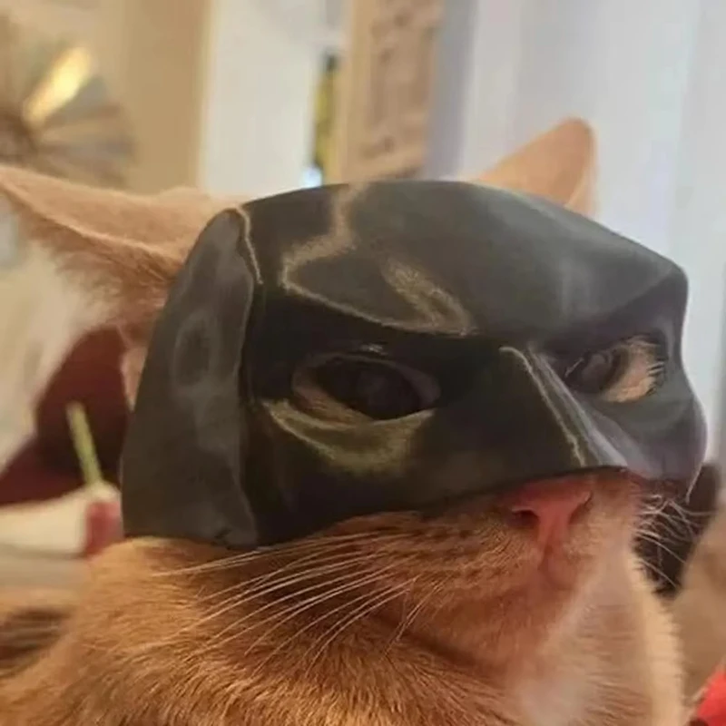Black Bat Cat Mask Avenger Cat Face Cushion Bat Cosplay Hat Atmosphere Prop Matte Plastic Pet Mask Party Gift Cat Accessories