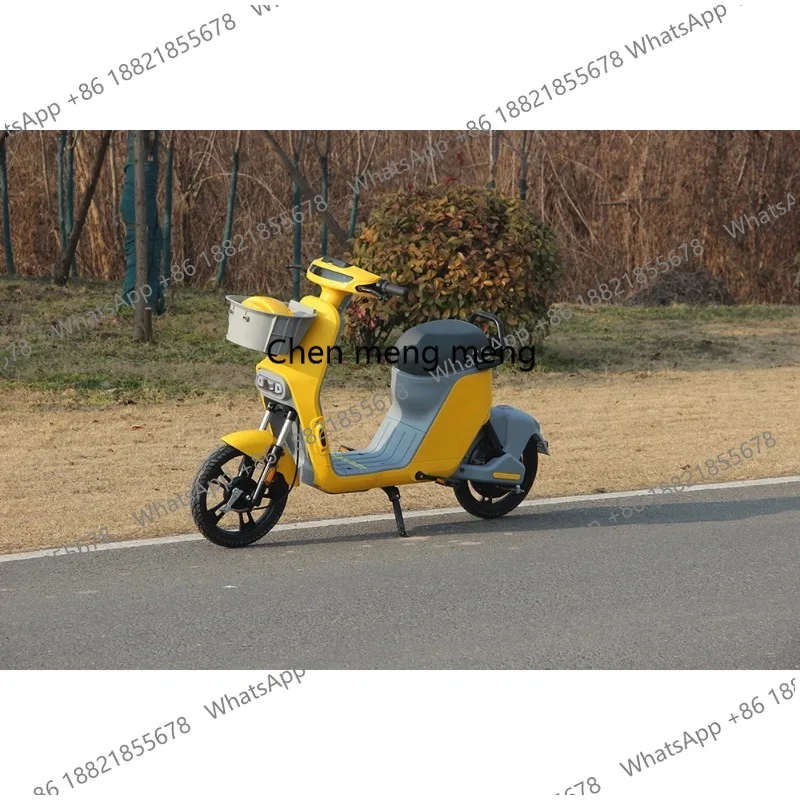 Mountain Snow Bike Lithium Battery Helps Men and Women with Variable Speed Commuting Lightweight Battery Electric Bike