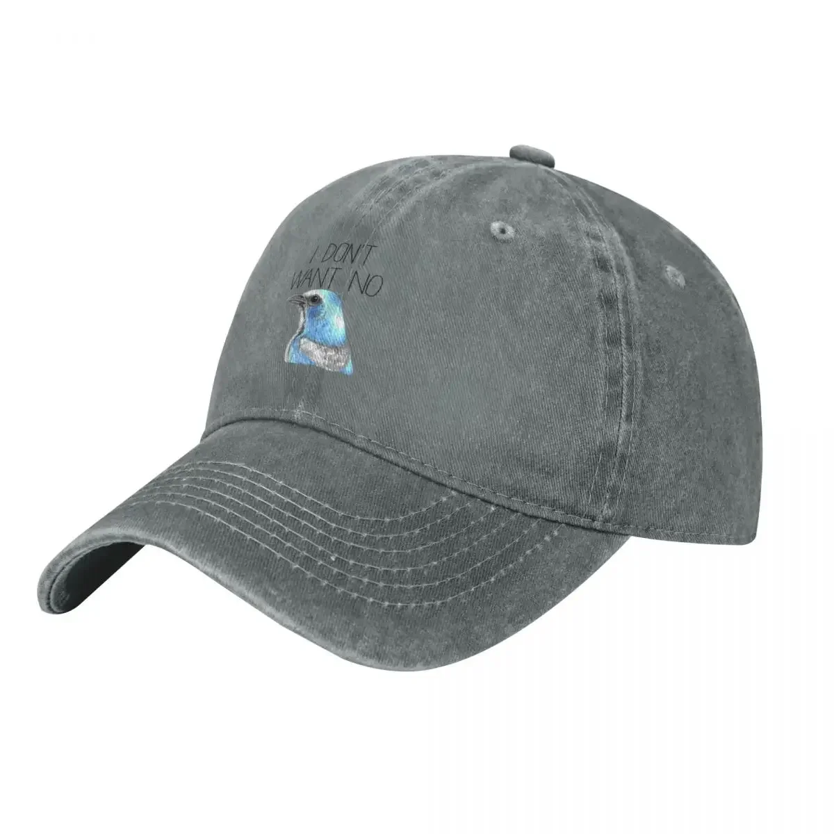 

I Don"t Want No Scrubs (Florida Scrub Jay) Baseball Cap party Hat Vintage tea Hat Golf Men Women's